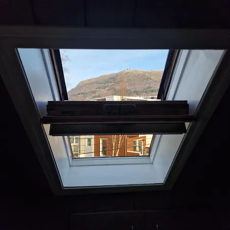 Svaneviksveien