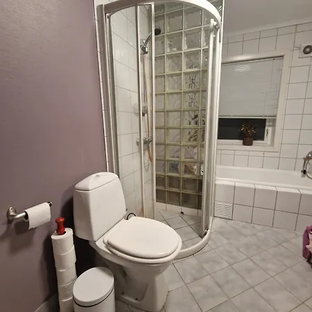 Svaneviksveien