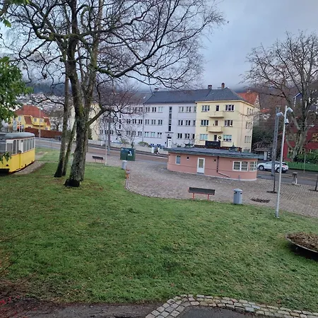 Svaneviksveien Apartment