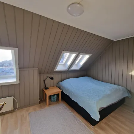 Svaneviksveien